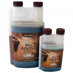 Canna BIO BOOST ACCELERATOR comprar estimulador floración Central de Semillas 1 litro